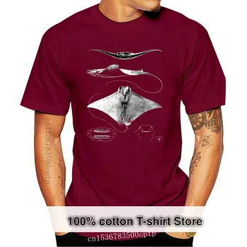 2019 Nový Krátky Rukáv Bežné Raja Anatómie T-Shirt | Žraloky, Raje Oceánografie Mori Života Človeka T Shirt Dobrej Kvality